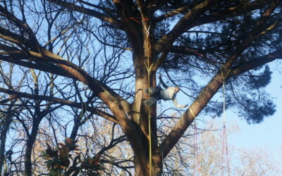 La fille des nuages…