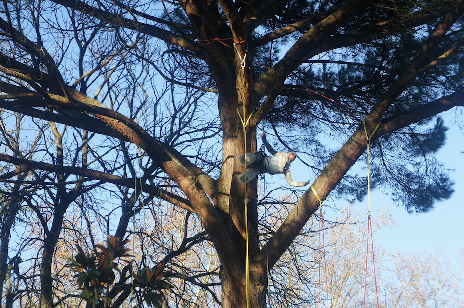 La fille des nuages…